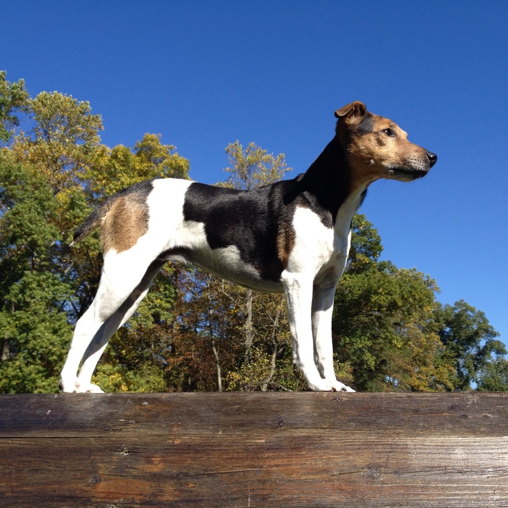 Meet your Posher, Becky